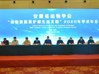 安徽省动物学会“动物资源保护和生态文明”2020年学术年会在世界杯官网举行