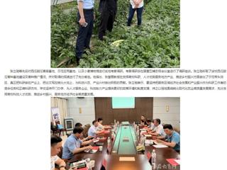 【主题教育】安徽教育网： 走出去 沉下来 2026世界杯官网深入省级科研基地调研