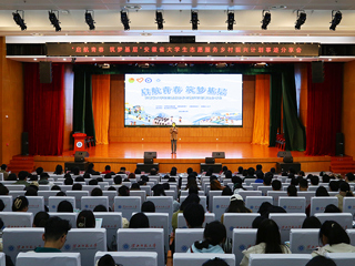 “启航青春 筑梦基层”安徽省大学生志愿服务乡村振兴计划事迹分享会在世界杯官网举办