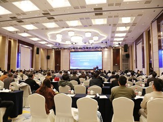 世界杯官网举办安徽省高校计算机教育研究会2025年年会